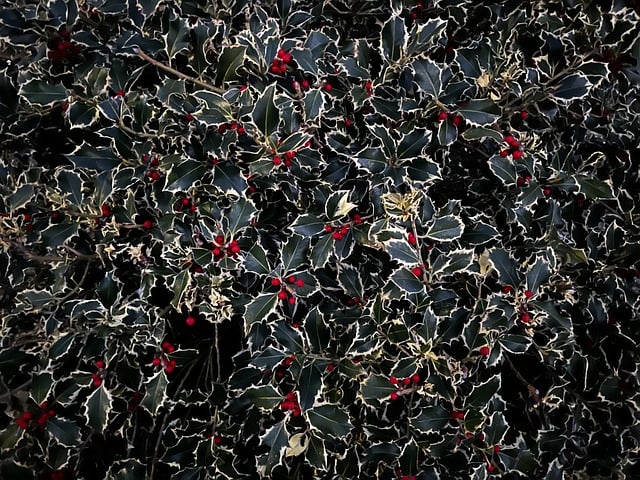 金旋风网赚论坛中的网赚技术：打造网络赚钱的金牌项目