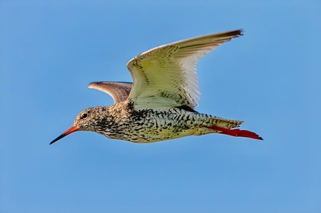 百度站长工具与行业关键词的结合：提升网络创业的优化策略与实力