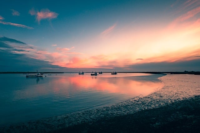 暮沉网创项目与中文网赚的交汇点：发掘网络创业的新视角