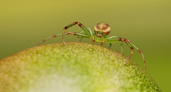 网赚创业网实战教程:从零到一的创业之路