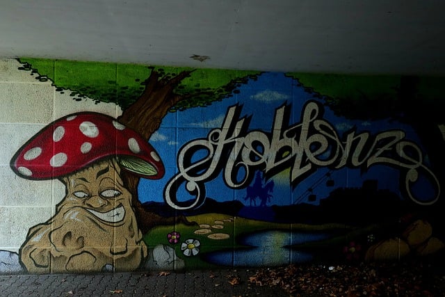 三明SEO经验分享：网站优化课程助你提升排名