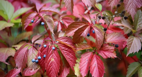 网络赚钱网的秘密武器：网赚论坛助你成为赚钱达人