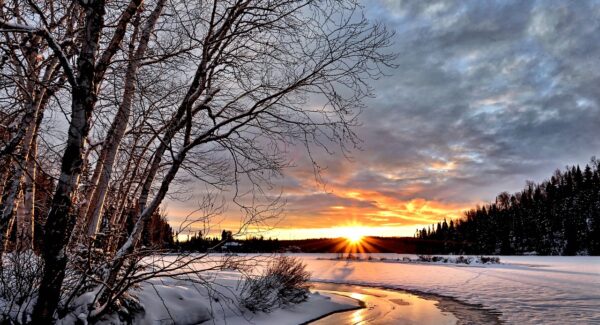 最新网赚项目一网打尽：暮沉资源站带你赚钱不停歇