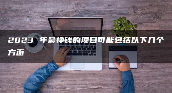 2023年最挣钱的项目大揭秘——暮沉网赚领航