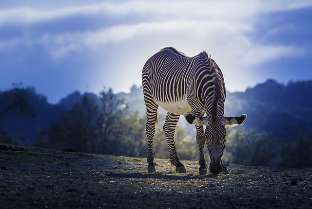 说钱网独家解读：网络竞价赚钱的秘诀与陷阱