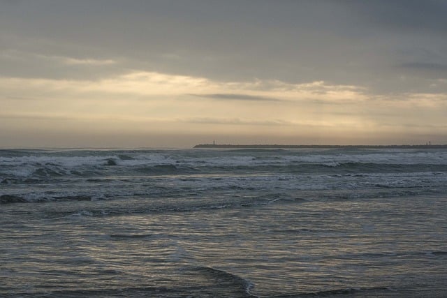 网络创业论坛：打造网络创业生态圈