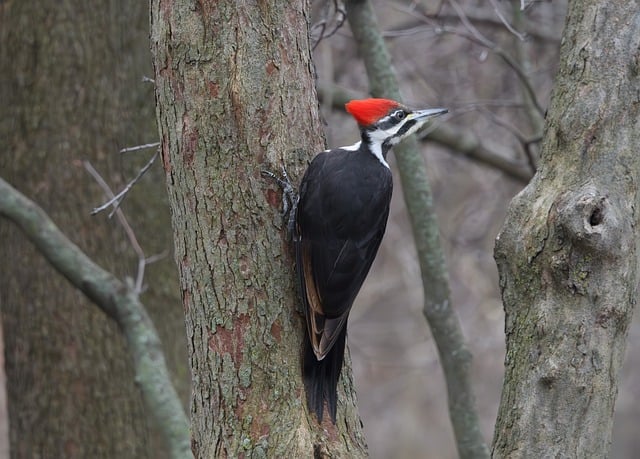 深度网赚论坛：龙岩SEO中的网赚技术分享