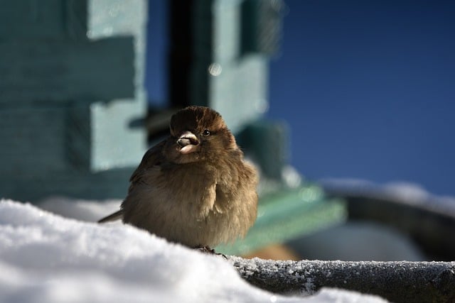 网上赚钱的网站：最新网赚项目与网赚项目网的关联