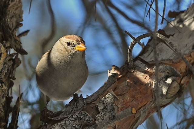 网赚团购新模式：让你赚钱更轻松