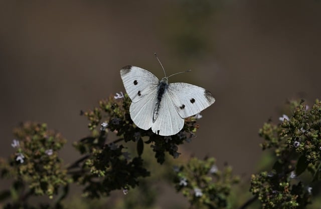 网赚创业网全攻略：助力你成为网络创业家