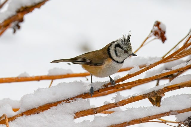 福缘论坛：如何通过网赚资源实现财富倍增？一篇文章给你答案