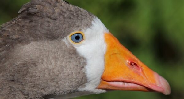 天使网赚论坛：网络创业论坛与网络创业网的交融