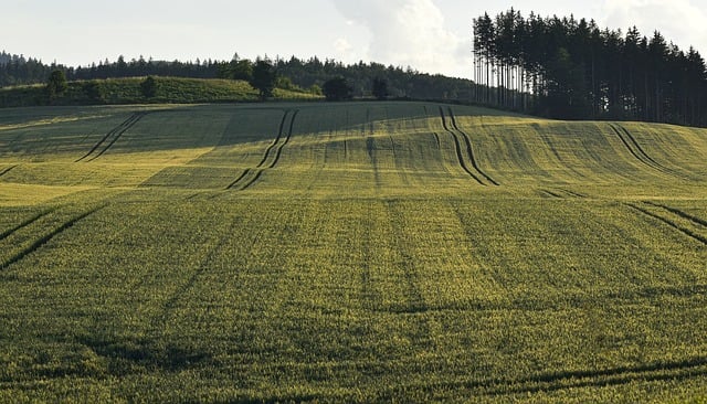 赚钱论坛：网络创业论坛与网络创业网的交融