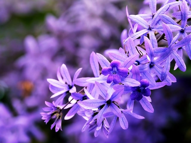 深度网赚论坛：网赚学习资料大全