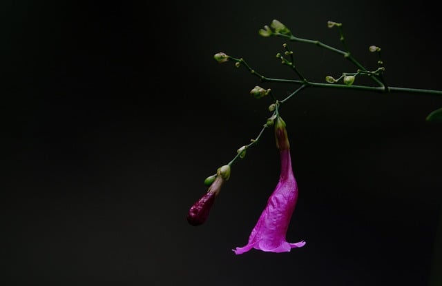 网赚培训：如何成为一名优秀的站长？