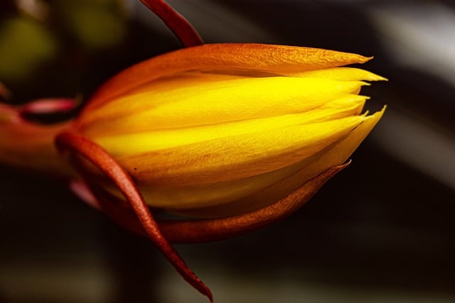 新手网赚论坛：手把手教你如何在网上轻松赚钱