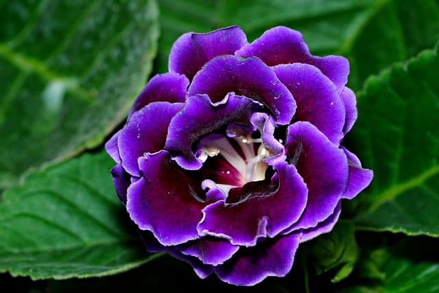 网络创业论坛：与成功创业者零距离交流