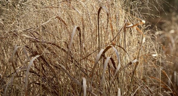 站长故事：网赚项目平台与创业好项目论坛的关系