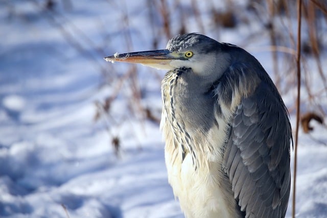 创业赚钱网：网络创业的五大必备要素，你了解吗？