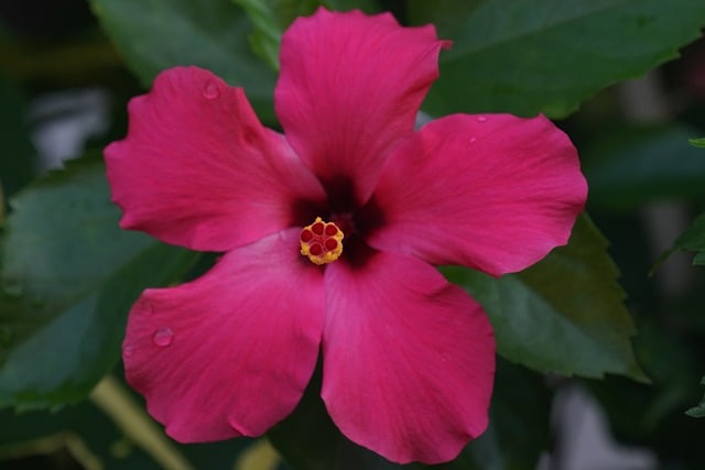 创业故事论坛：成功的创业者背后的秘密