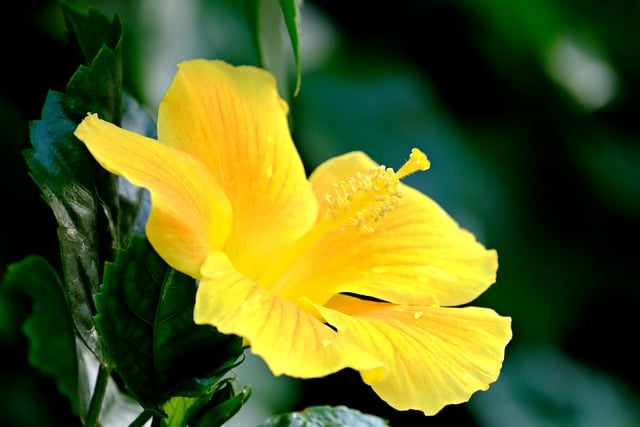 网赚创业：如何在网上创业赚钱？