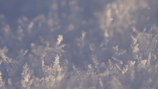 福缘网赚：福缘论坛：揭秘网络赚钱的真相与未来趋势