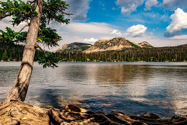 一公斤网赚论坛：探索福缘网赚与创业好项目的交流平台