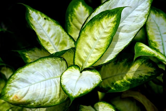 最新网赚项目：网赚团购与交流