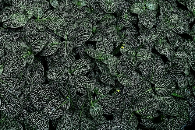 怎么网上创业：创业网大全与项目下载一站式服务