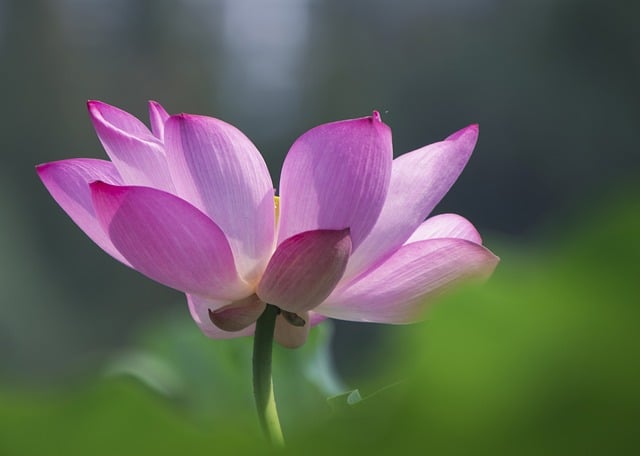 创网：网创者的最佳选择