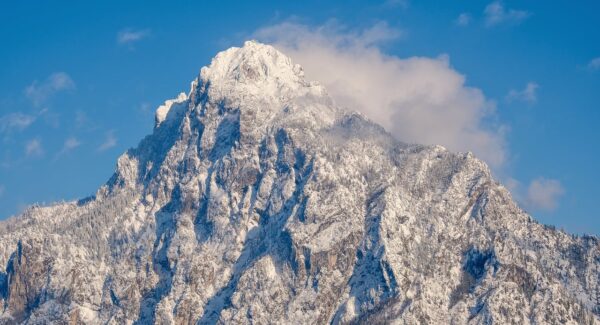 金色旋风网赚论坛：交流网赚经验和项目的社区