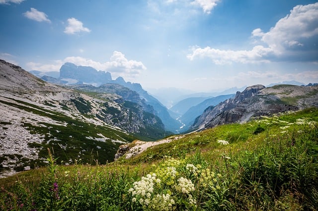 创业网络：网赚项目下载网站中的创业故事论坛