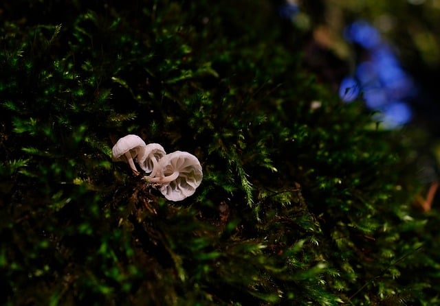 网赚教程：掌握网赚技巧，轻松实现收入倍增
