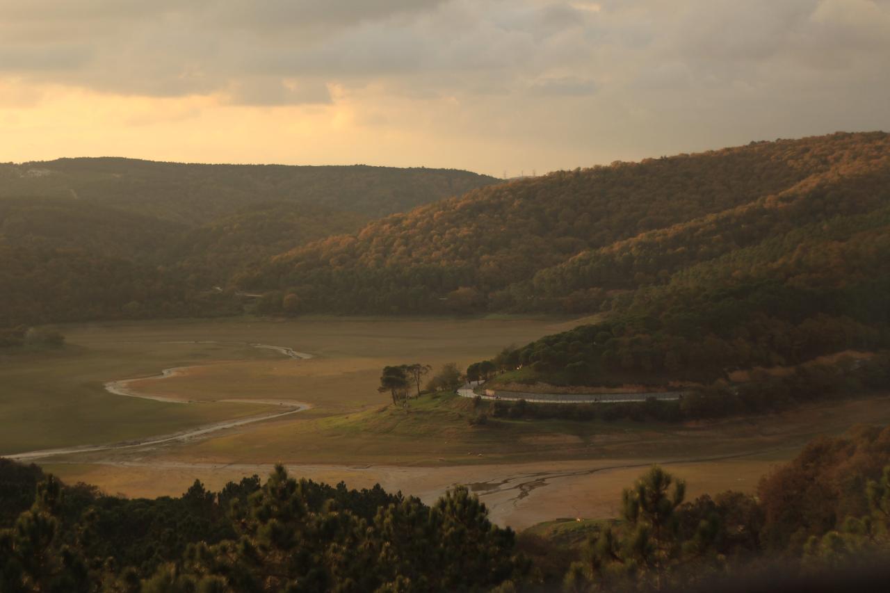 致青春网赚论坛：最新网赚项目的创业网大全