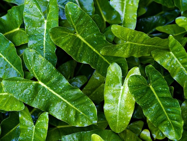 网赚创业项目：适合创业者的网赚项目和商业模式