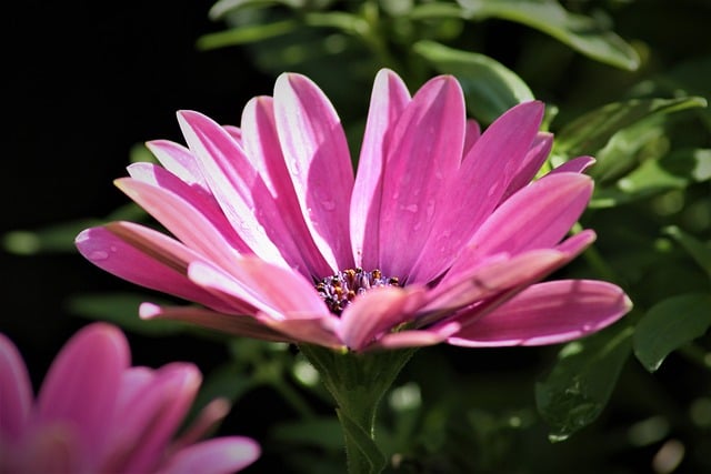 福缘：金色旋风网赚论坛的搞笑电影排行榜前十名推荐