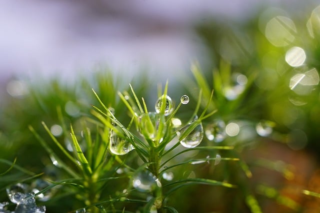 创业网络：站长故事：我的网络创业之路，从零到亿的蜕变