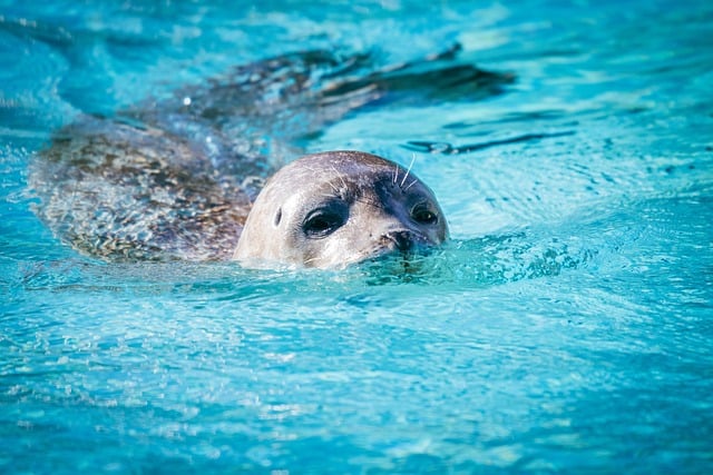 创网：网上赚钱论坛与福缘网赚的交流平台