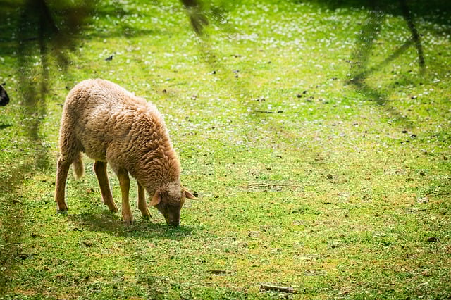 创业项目交流：如何选择最适合自己的网赚项目？