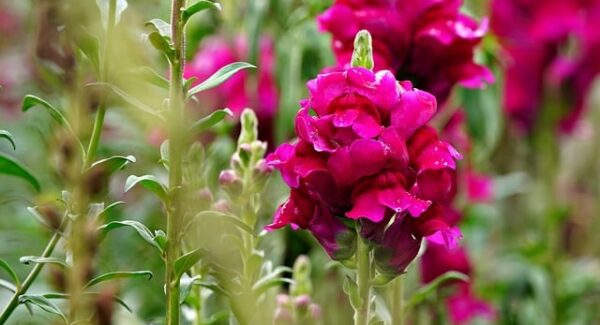 网赚项目平台：新手网赚论坛分享