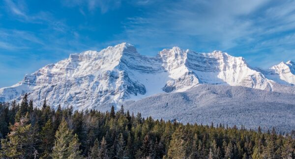 竞价赚钱攻略：教你如何通过竞价广告获得高额收益