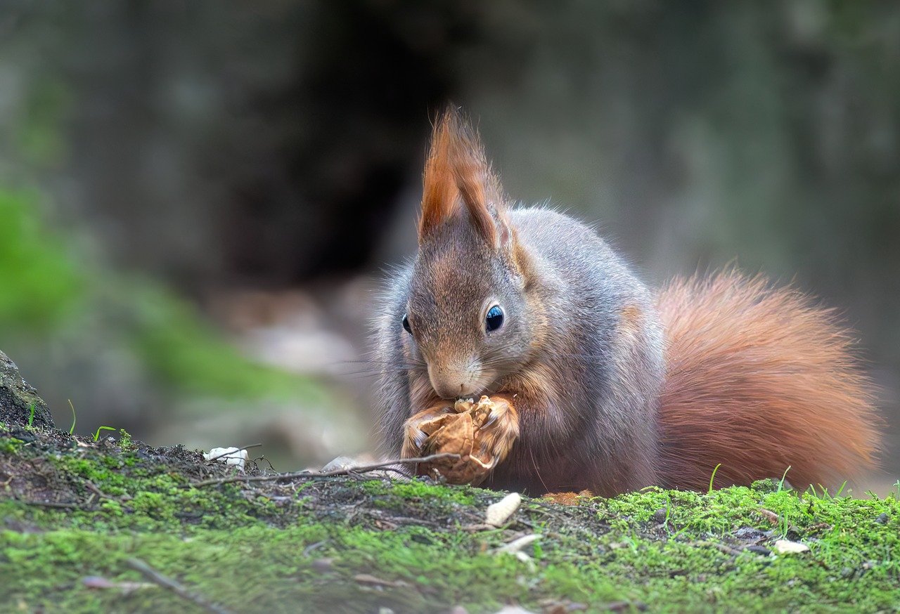 金色旋风：知名网赚平台，提供丰富的网赚资源