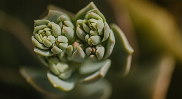 网赚创业项目：深度网赚论坛推荐的最新网赚项目