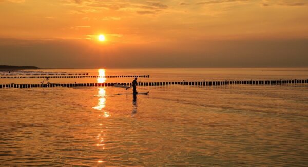 创业项目论坛：创业项目论坛的选择与运营策略