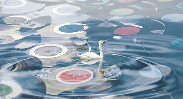 网赚创业：从入门到精通的实战指南