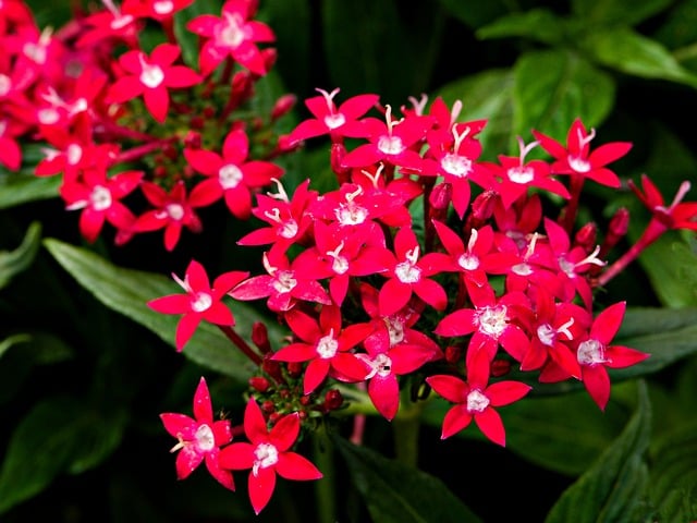 轻松创业项目：网赚培训课程推荐