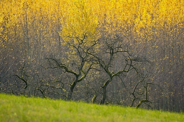 福缘网赚：揭秘最新网赚项目，轻松实现财富自由