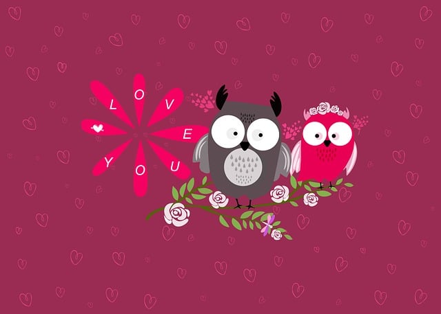 福缘网赚：创业好项目论坛探讨