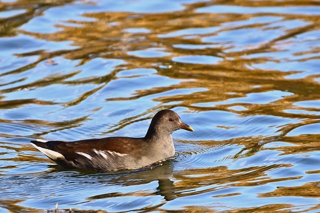 暮沉资源站：如何选择适合自己的网赚项目？
