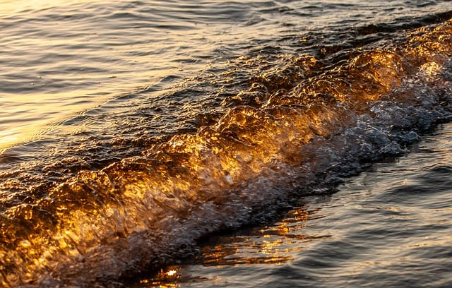 创业平台网：金色旋风网赚论坛的网赚项目下载